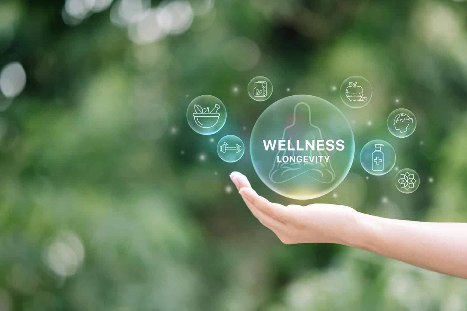 WhatsApp Image 2026-02-10 at 14.05.00